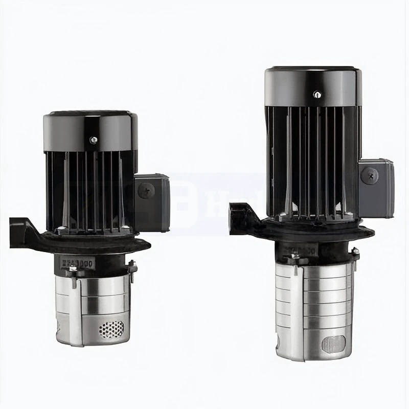 product-800-800